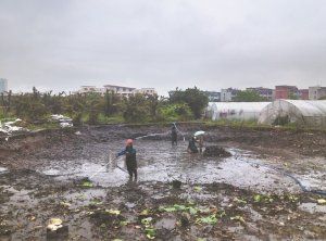 崇阳河道鱼塘清淤